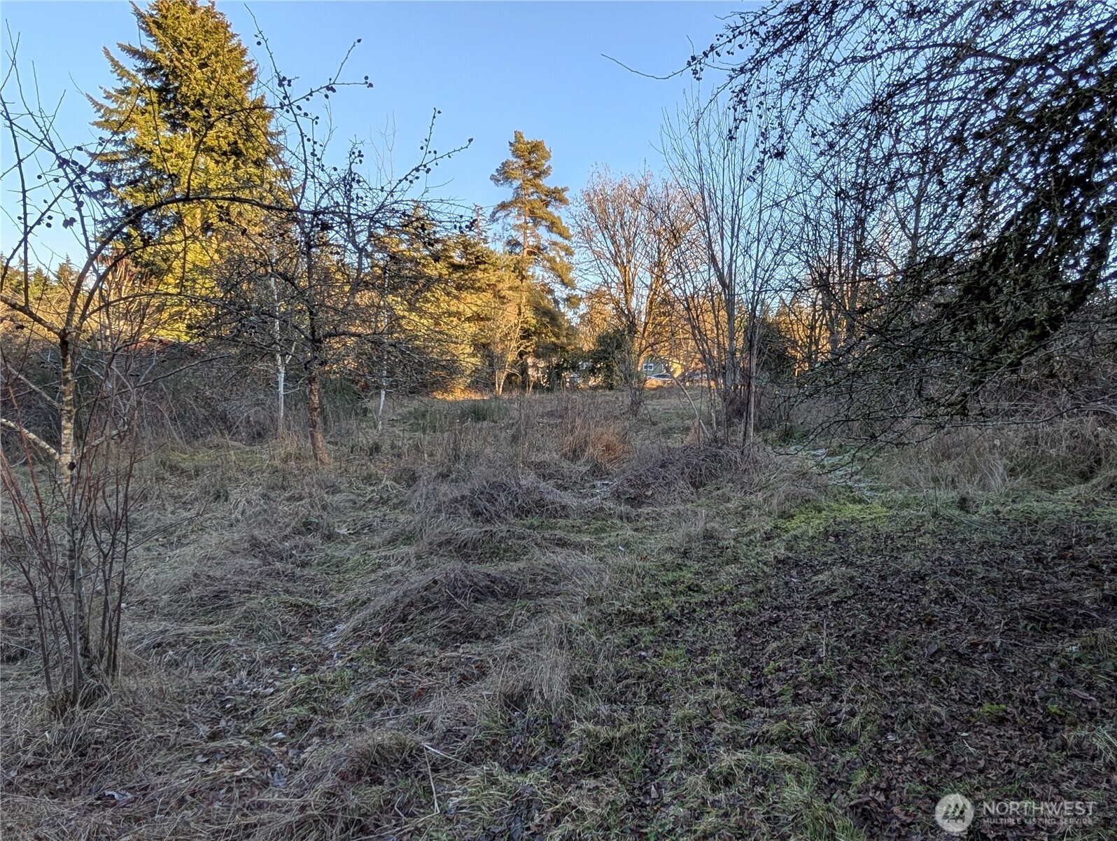 8208 8216 Canyon Road Property Photo 21