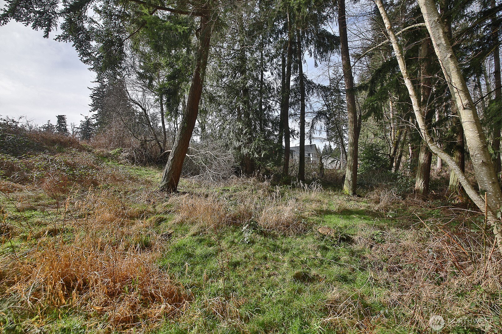 1857 Watkins Road Property Photo 7