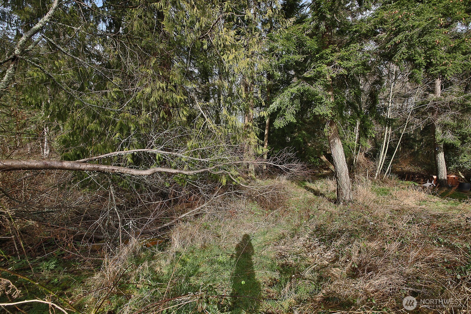 1857 Watkins Road Property Photo 8