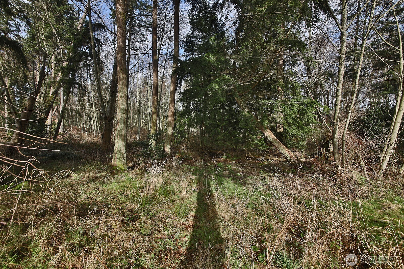 1857 Watkins Road Property Photo 9
