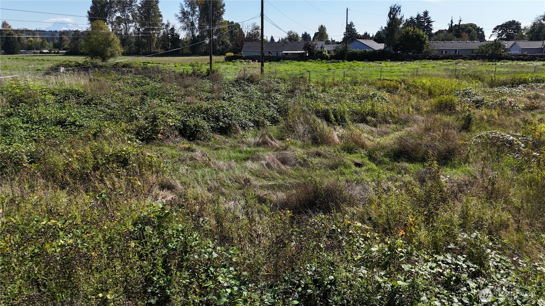 925 40th Street Property Photo 5