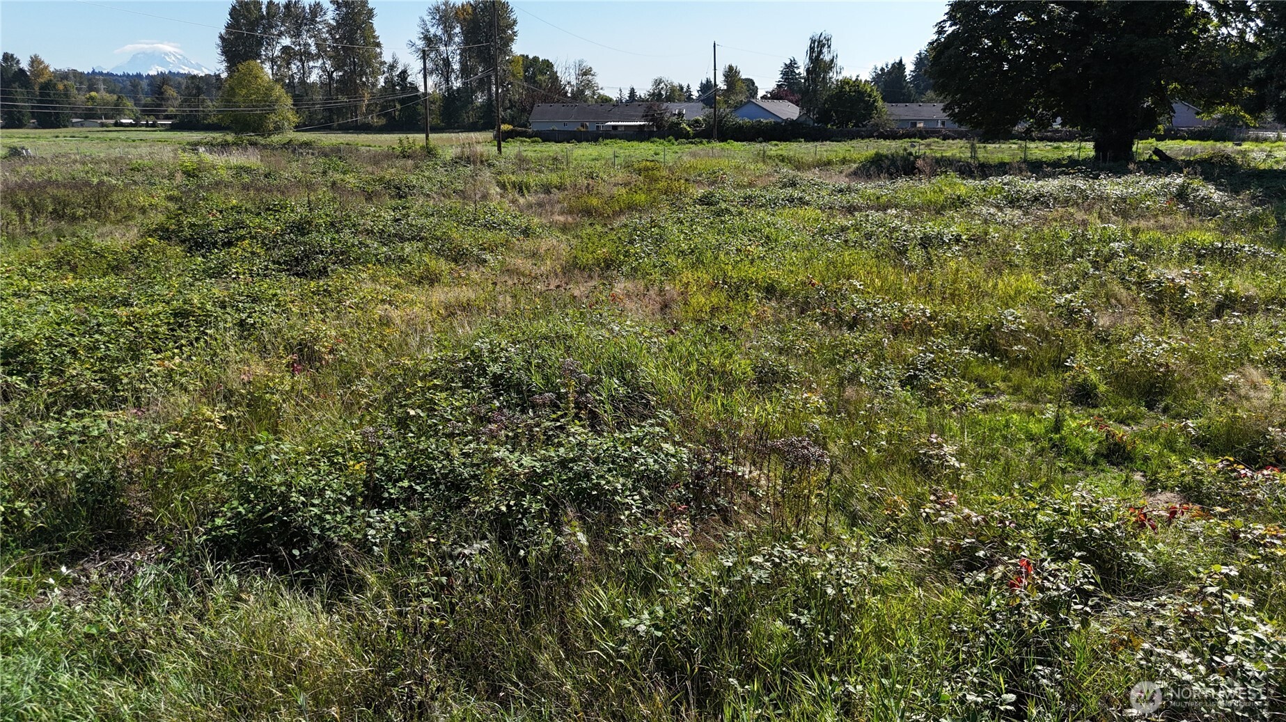 925 40th Street Property Photo 7