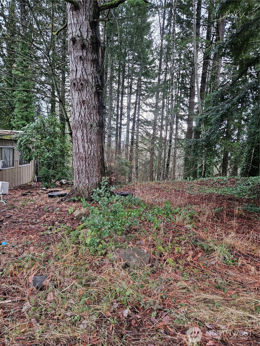 321 Ne Barbara Boulevard Property Photo