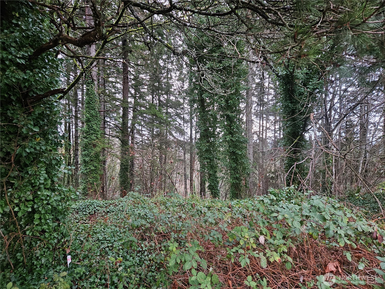 321 Ne Barbara Boulevard Property Photo 2