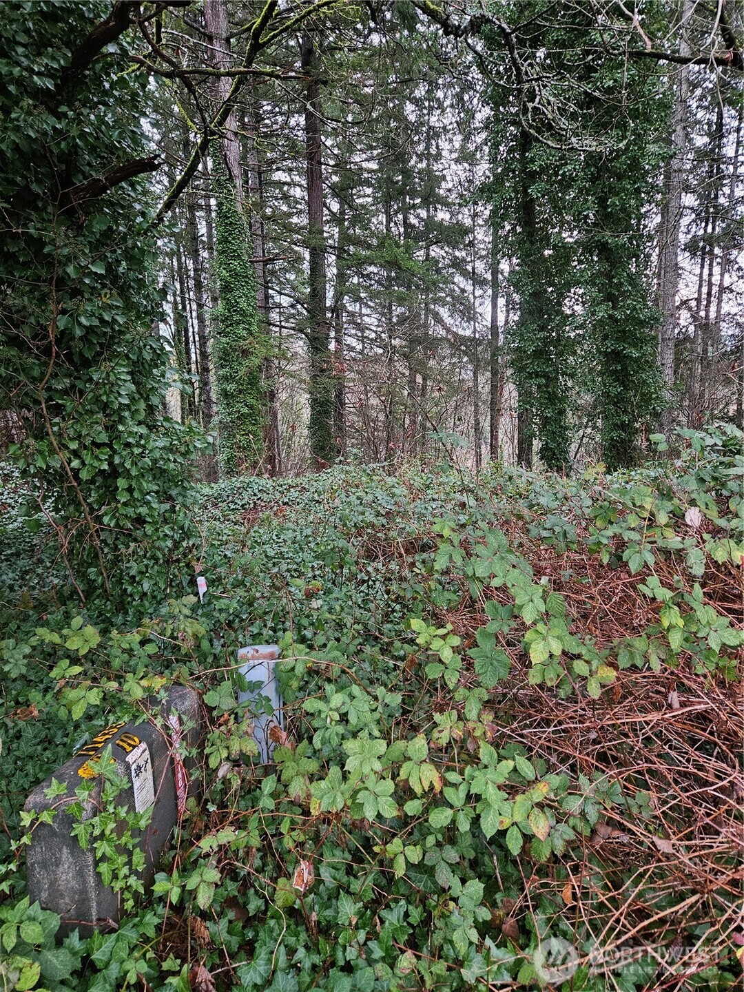 321 Ne Barbara Boulevard Property Photo 4