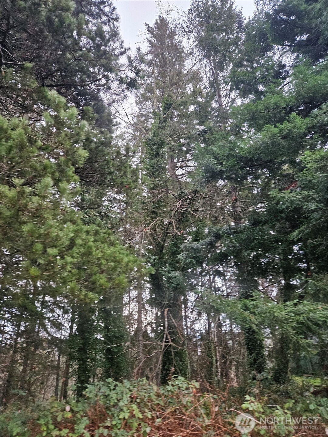 321 Ne Barbara Boulevard Property Photo 7