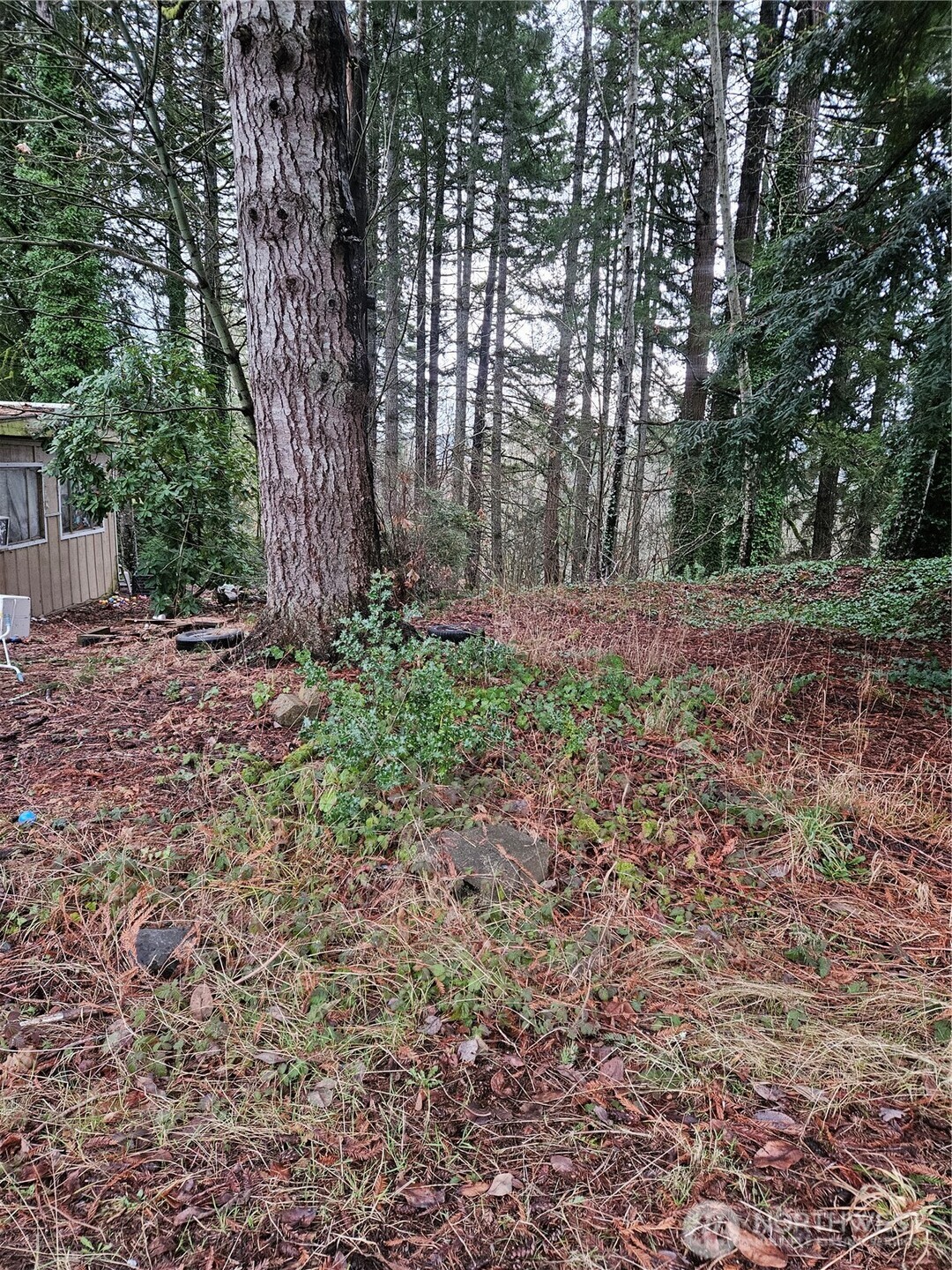 321 Ne Barbara Boulevard Property Photo 15