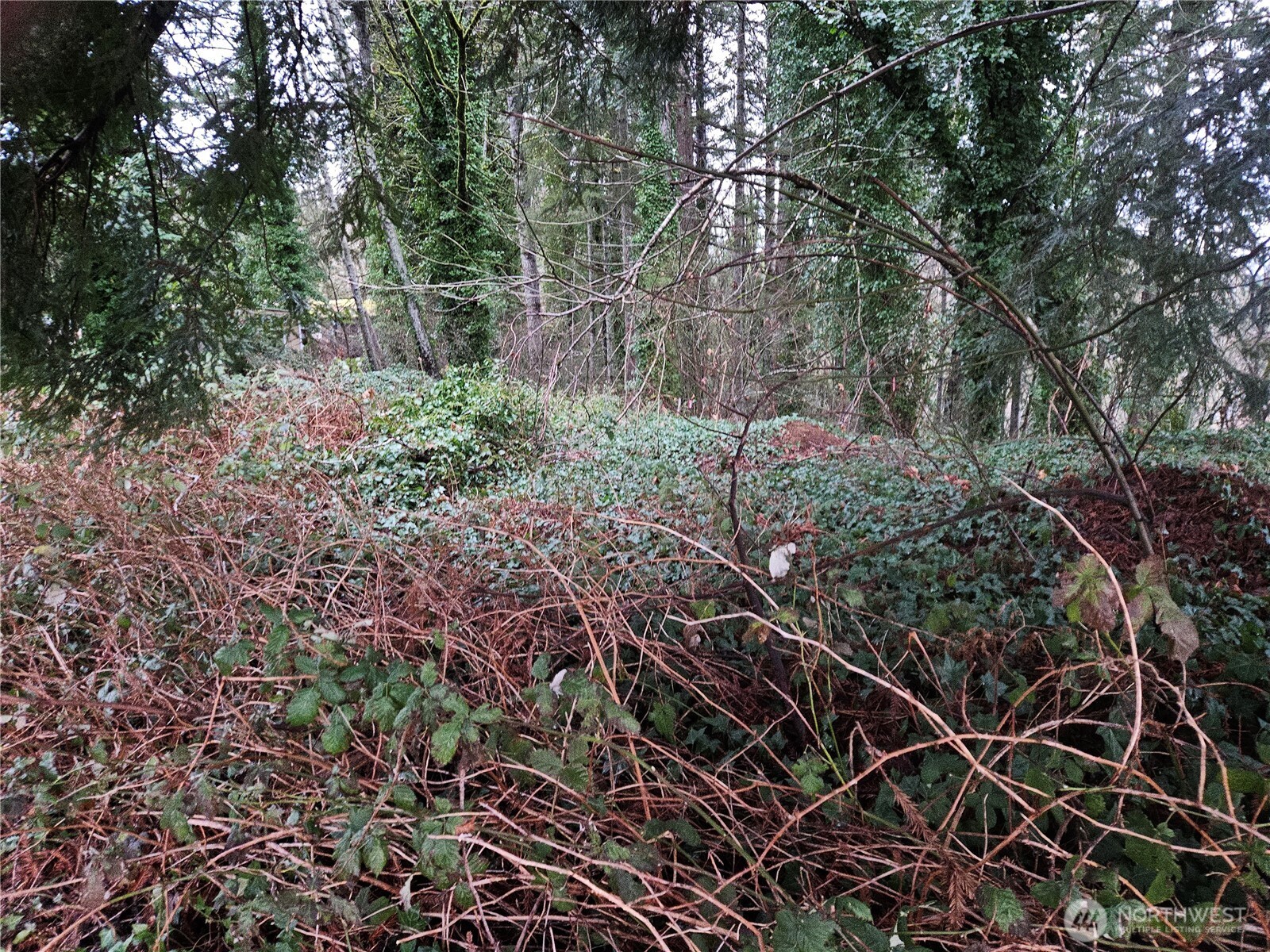 321 Ne Barbara Boulevard Property Photo 21