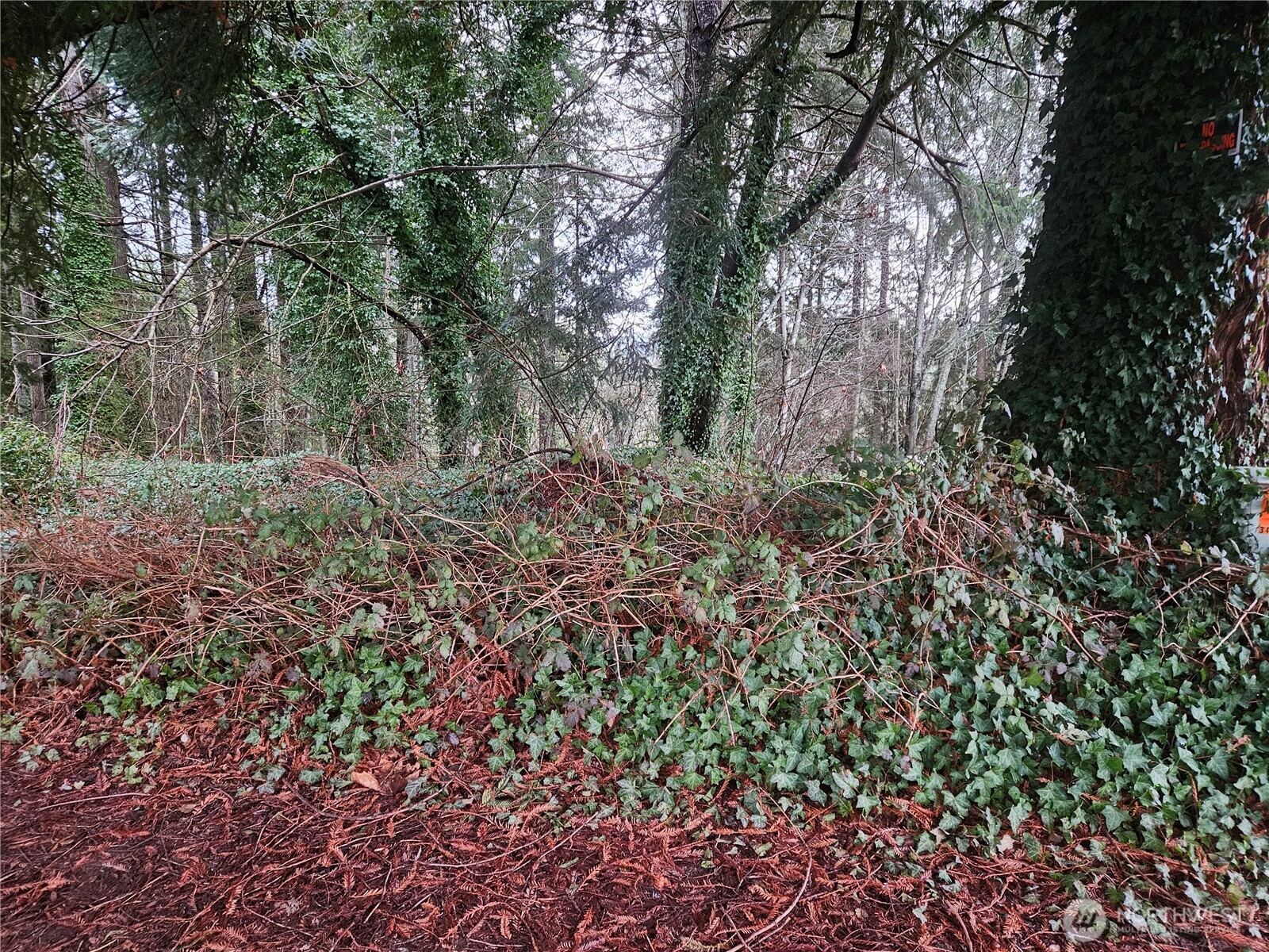 321 Ne Barbara Boulevard Property Photo 23