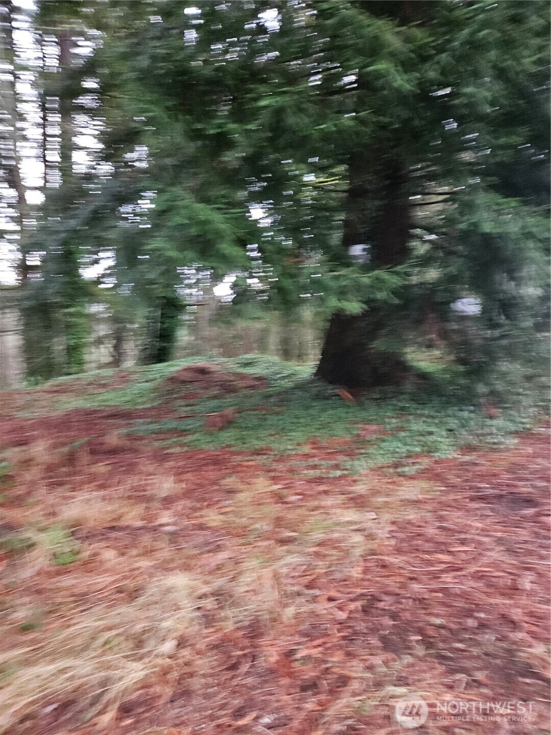 323 Ne Barbara Boulevard Property Photo 1