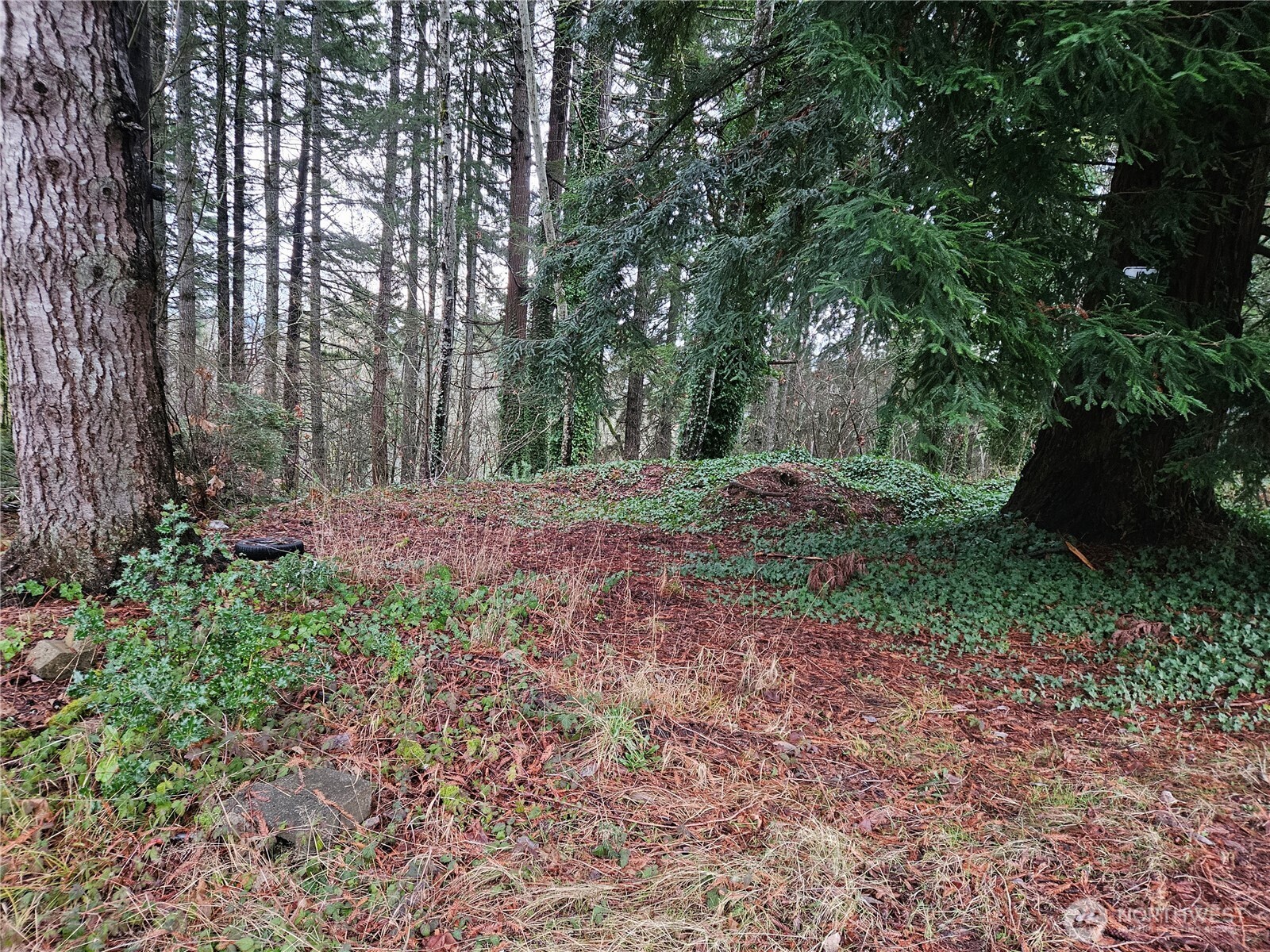 323 Ne Barbara Boulevard Property Photo 2