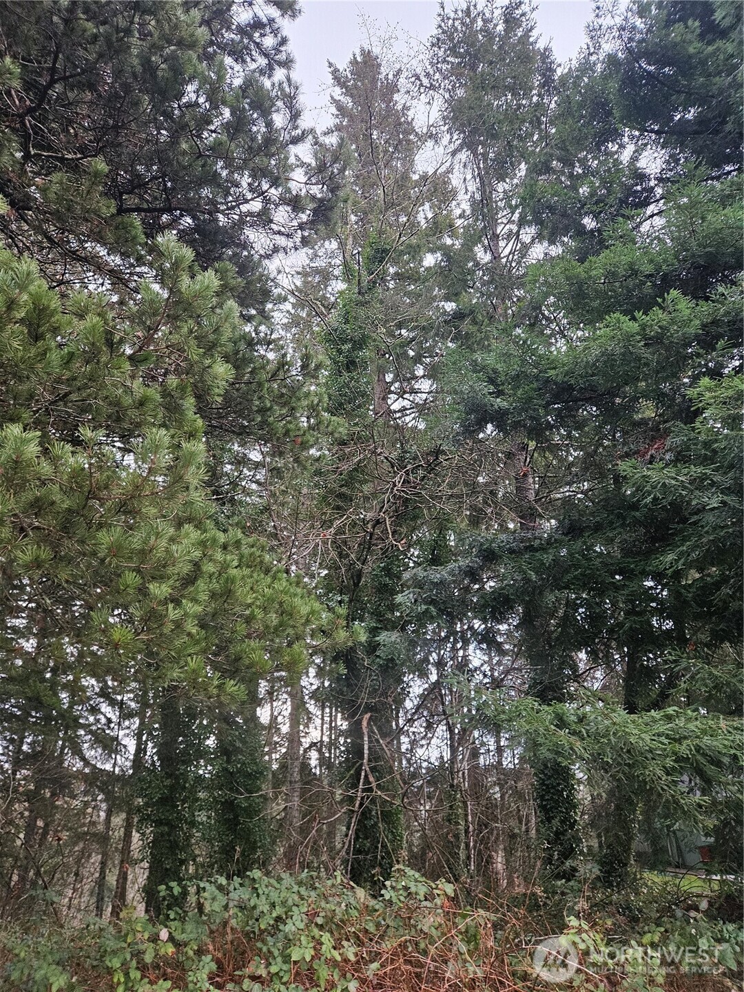 323 Ne Barbara Boulevard Property Photo 12