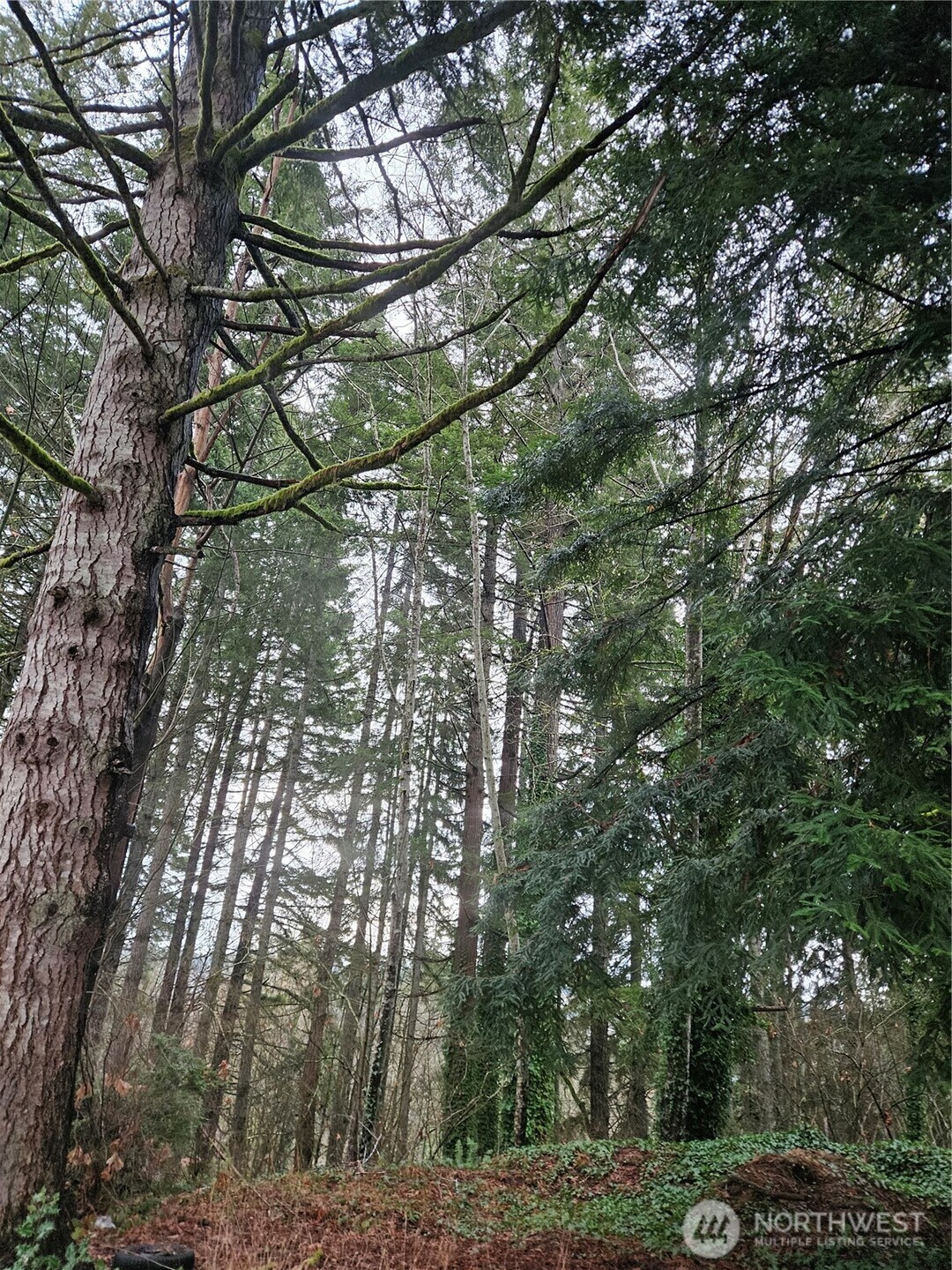 323 Ne Barbara Boulevard Property Photo 14