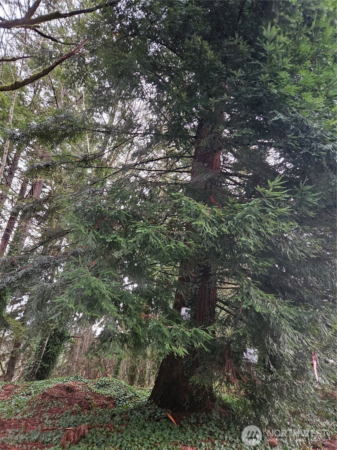 323 Ne Barbara Boulevard Property Photo 15