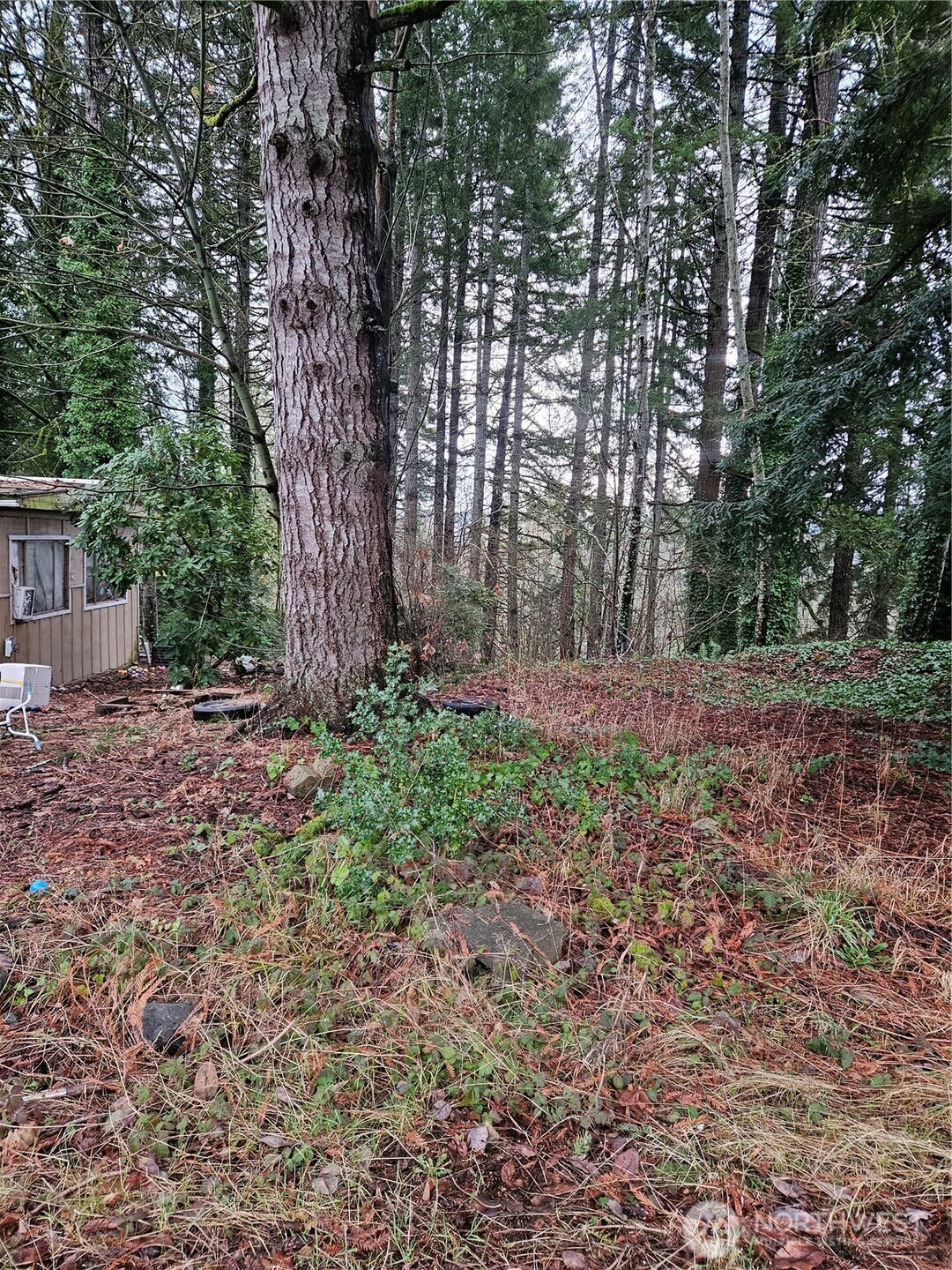 323 Ne Barbara Boulevard Property Photo 18