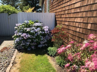 2611 Sea Crest Avenue Property Photo 35