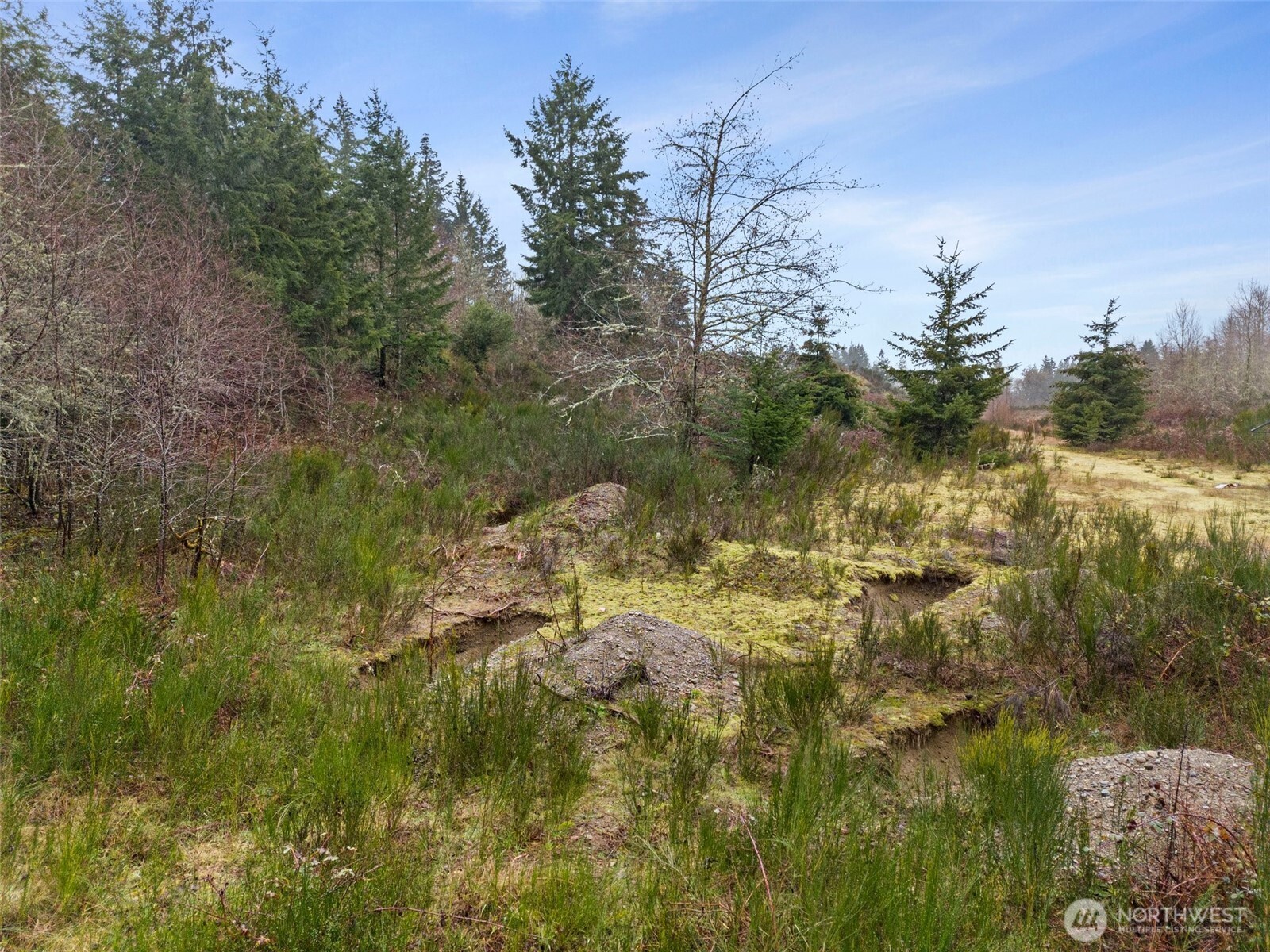 2641 28th Avenue Property Photo 12