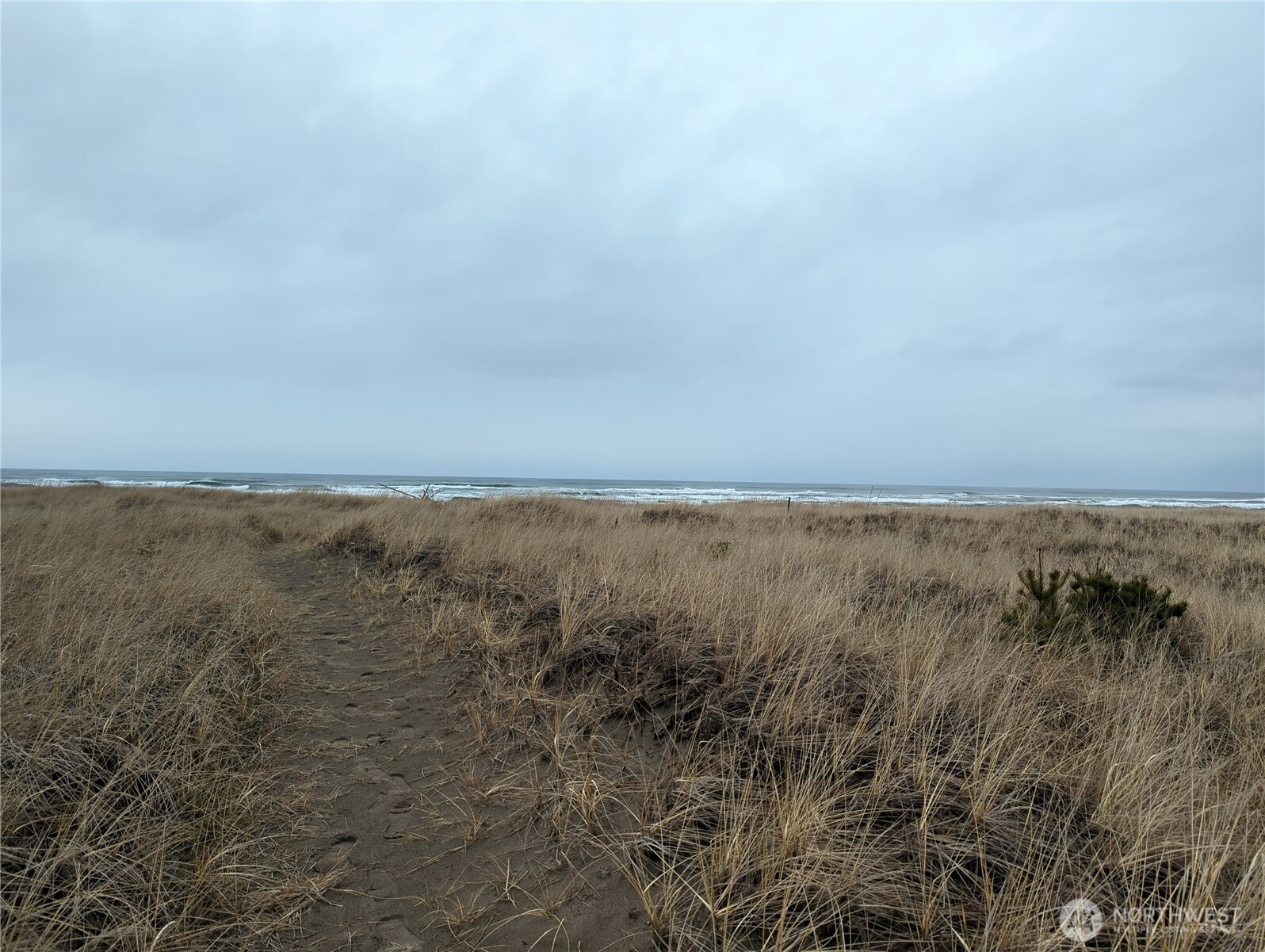 1303 167th Lane Property Photo 26