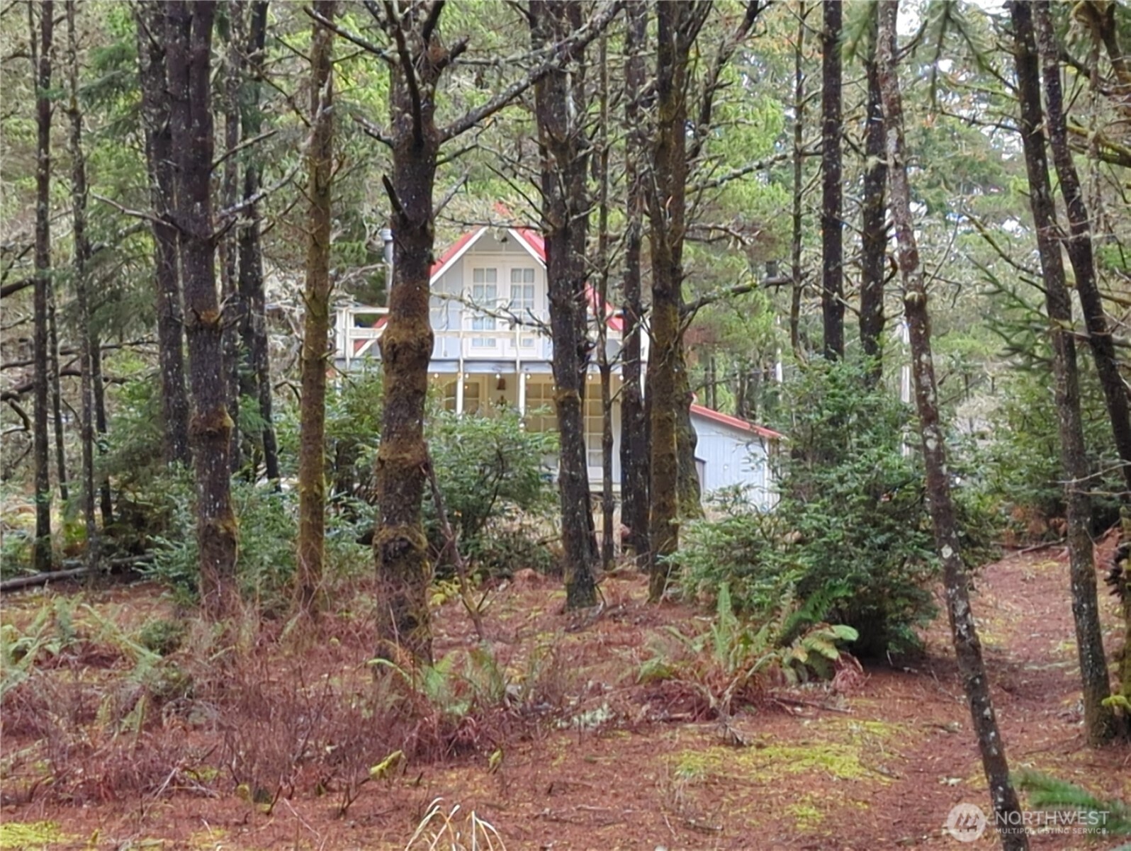 1303 167th Lane Property Photo 31