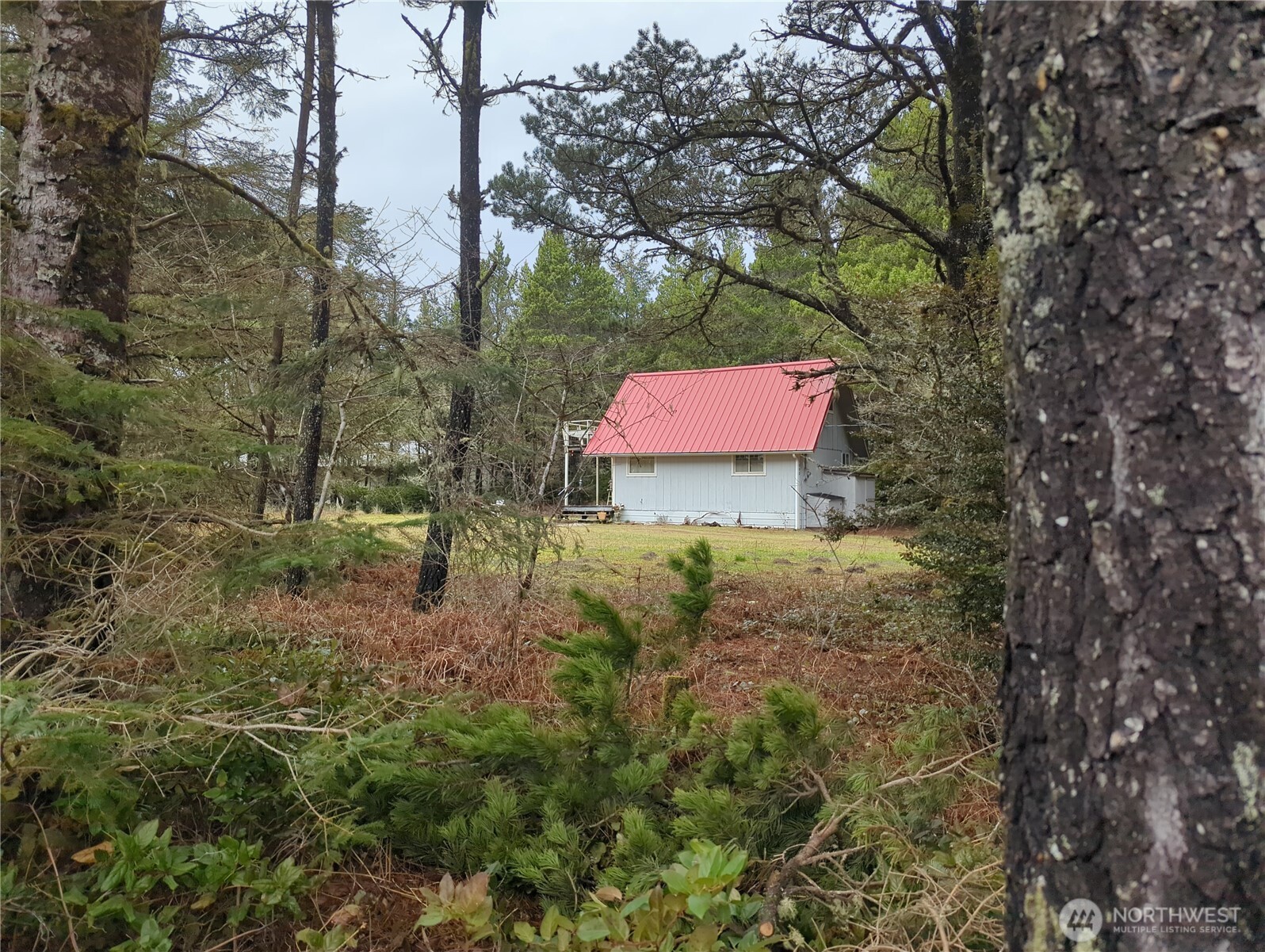 1303 167th Lane Property Photo 33