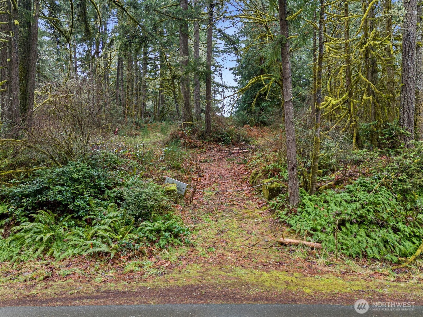 2641 28th Avenue Property Photo 21