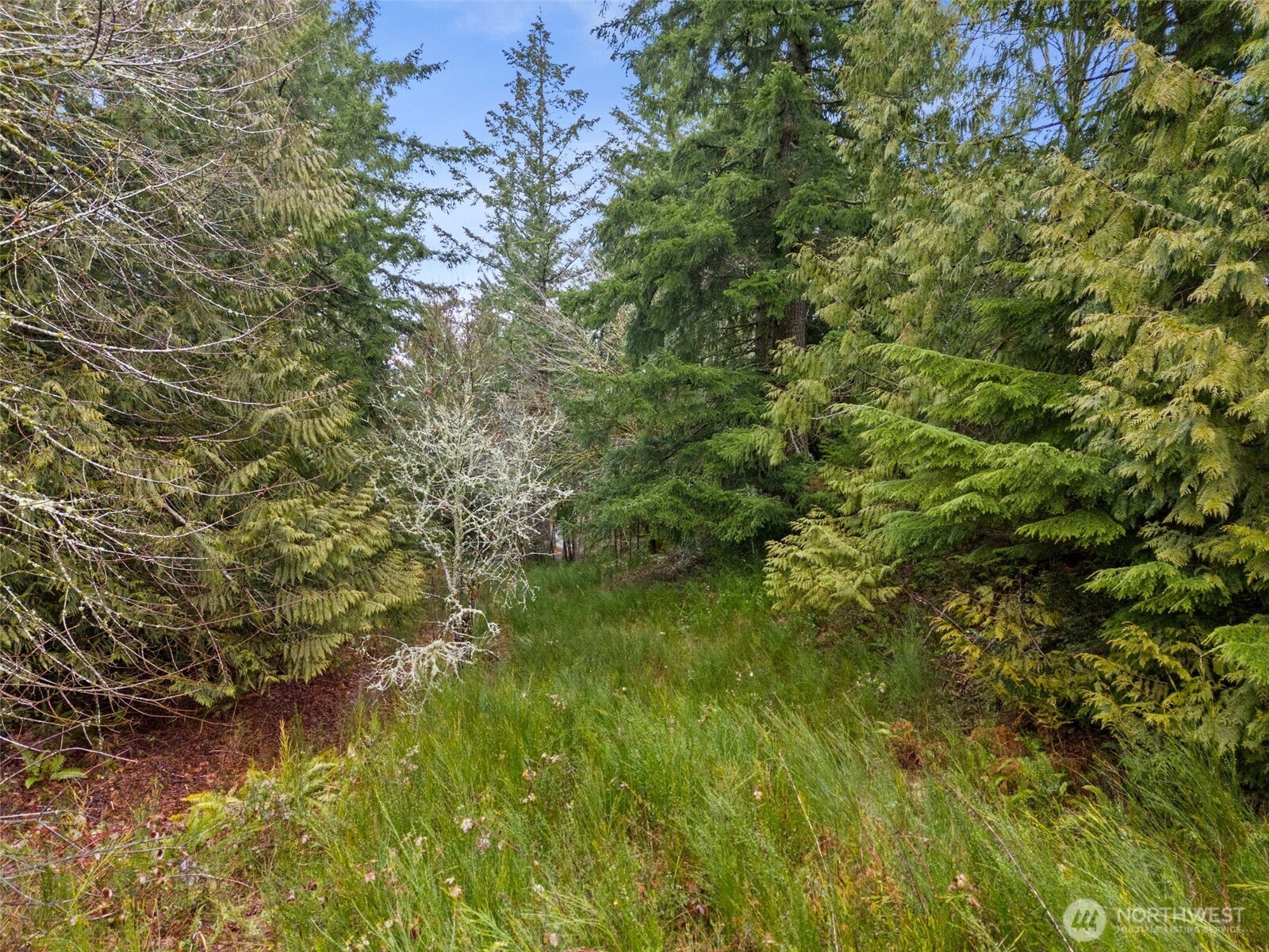 2641 28th Avenue Property Photo 22