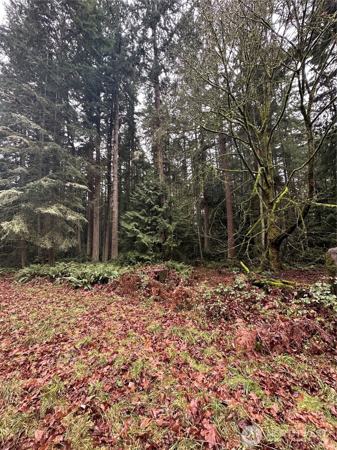 0 Kramer Road Property Photo