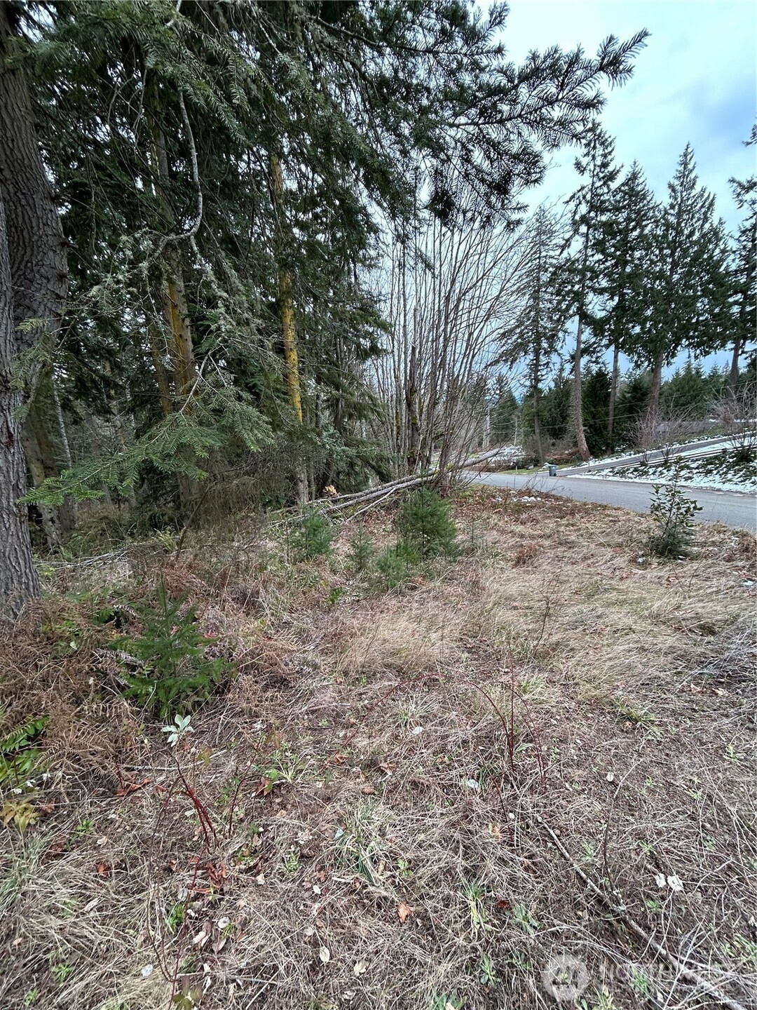 396 Sentinel Firs Road Property Photo