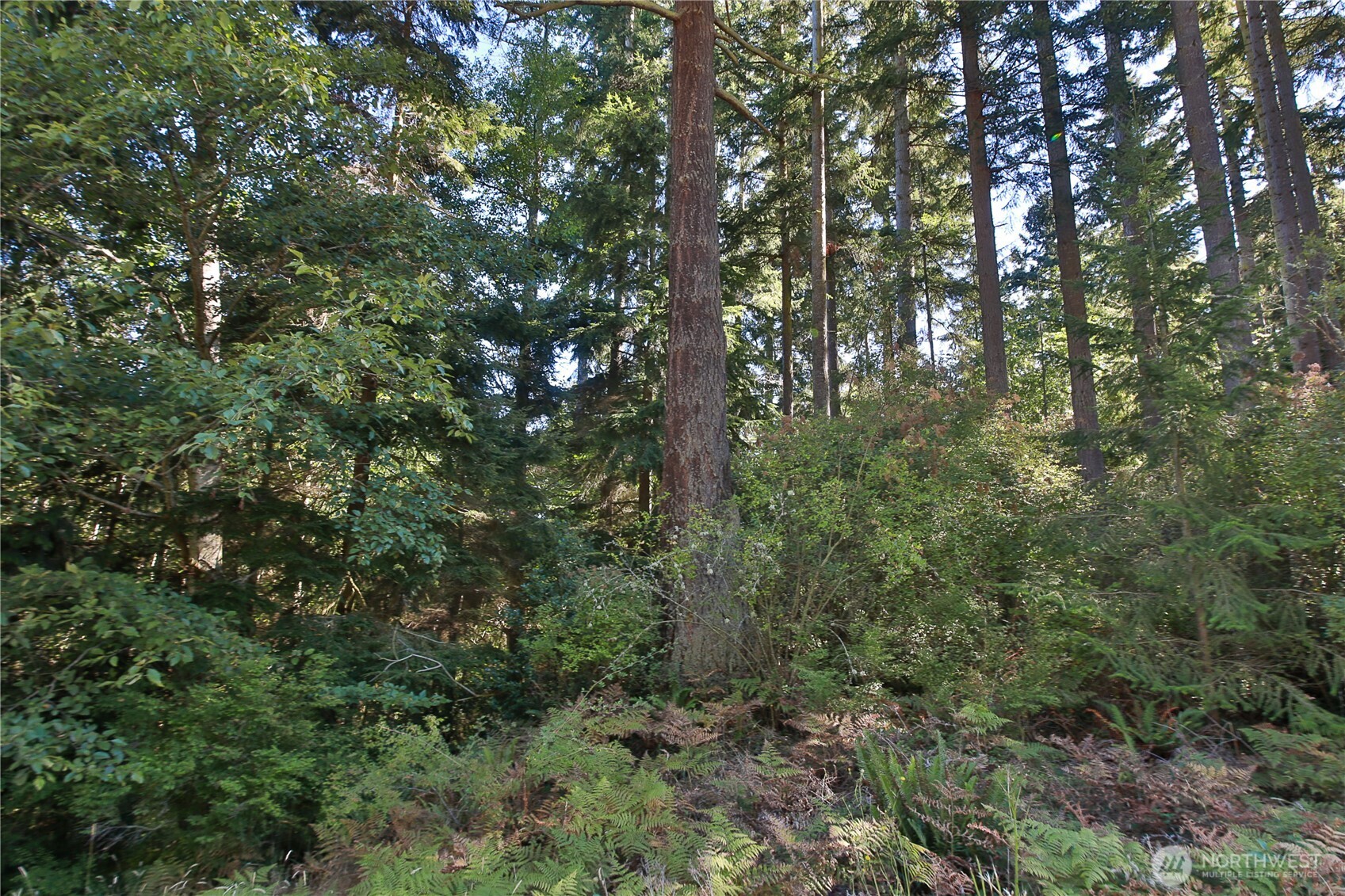 0 Nhn Leaf Lane Property Photo 24