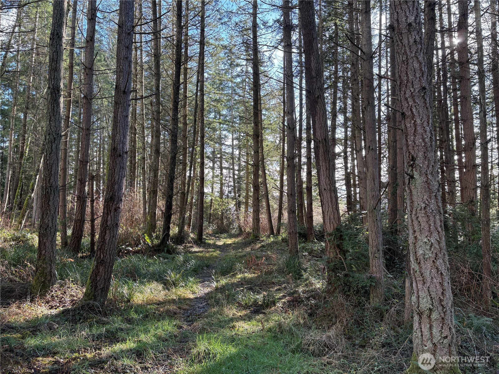 0 Middle Drive Property Photo 1