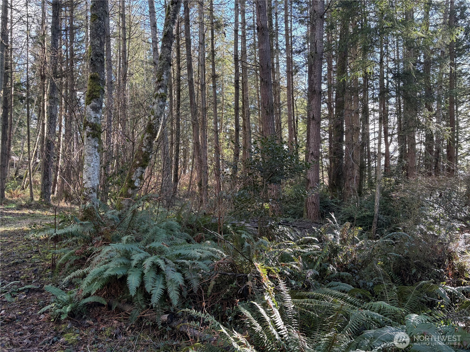 0 Middle Drive Property Photo 2