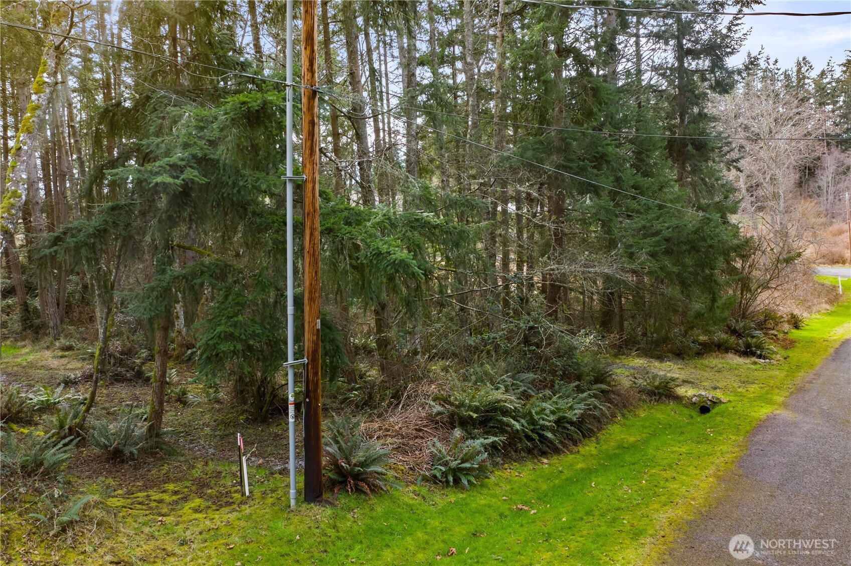 0 Middle Drive Property Photo 18