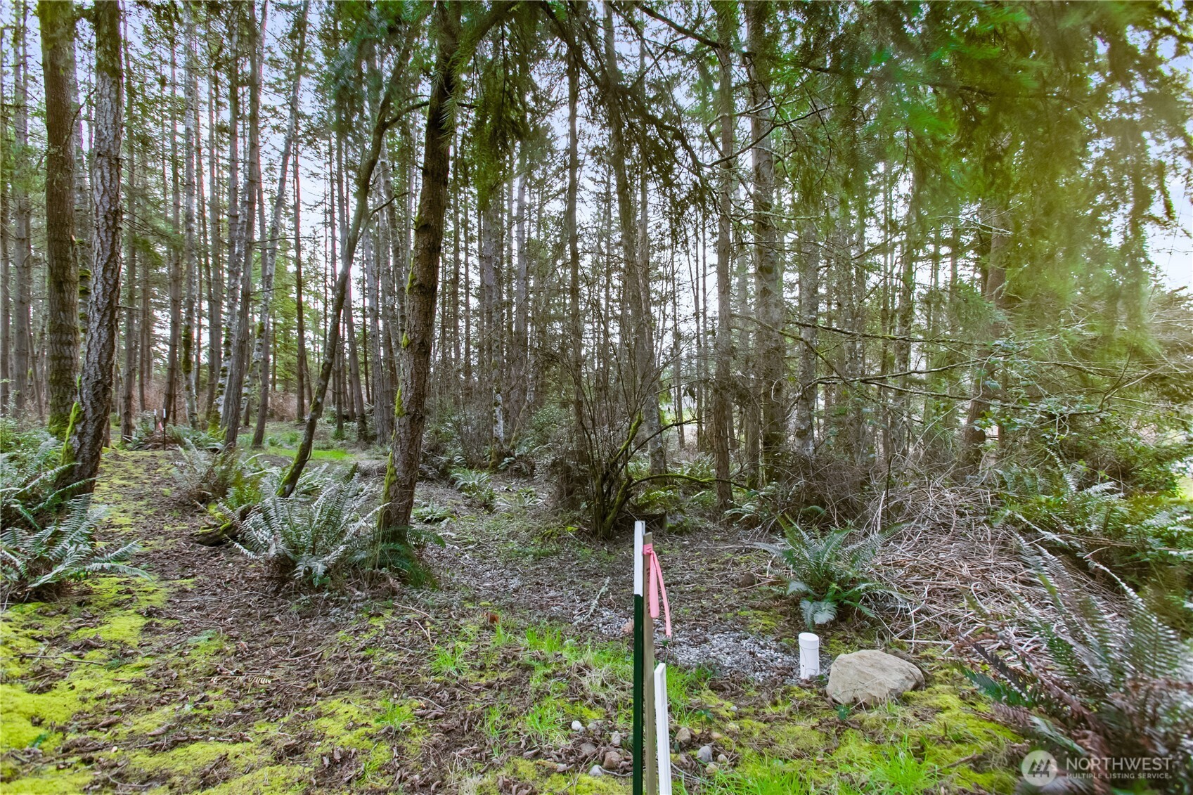 0 Middle Drive Property Photo 19