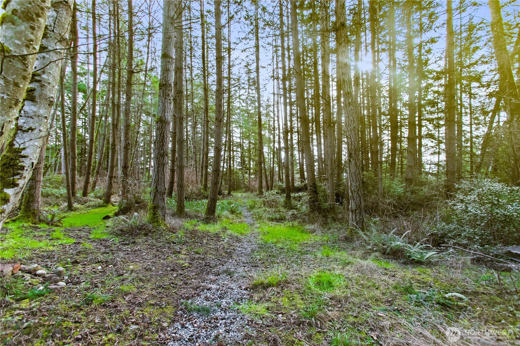 0 Middle Drive Property Photo 23
