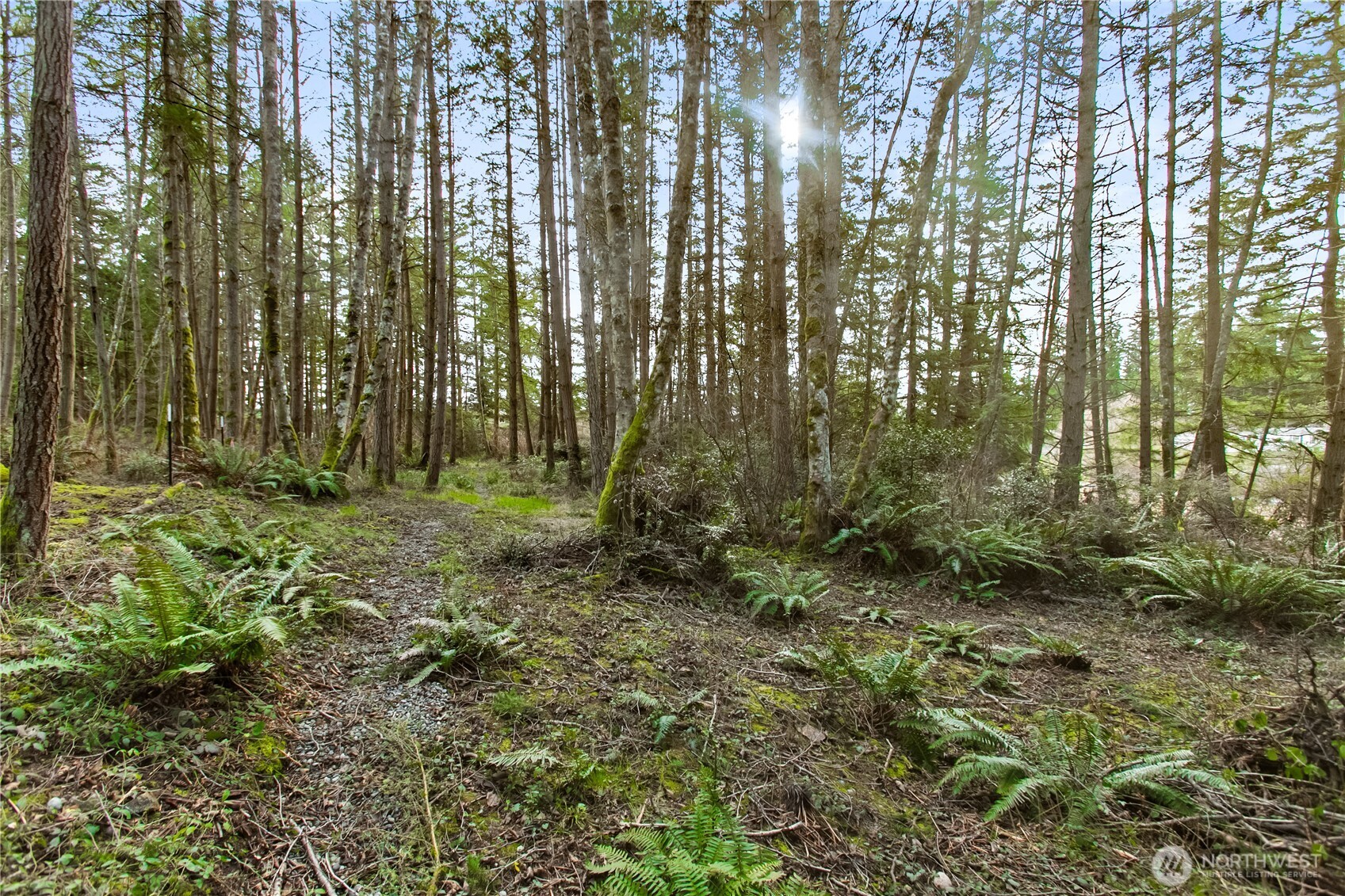 0 Middle Drive Property Photo 24