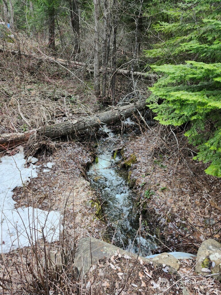 270 Huntrick Drive Property Photo 5