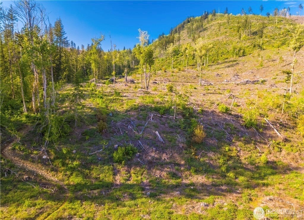 9523 Heady Road Property Photo 6