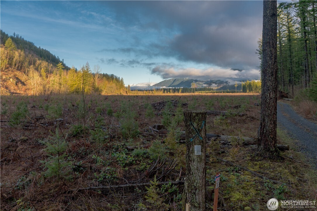 9523 Heady Road Property Photo 7