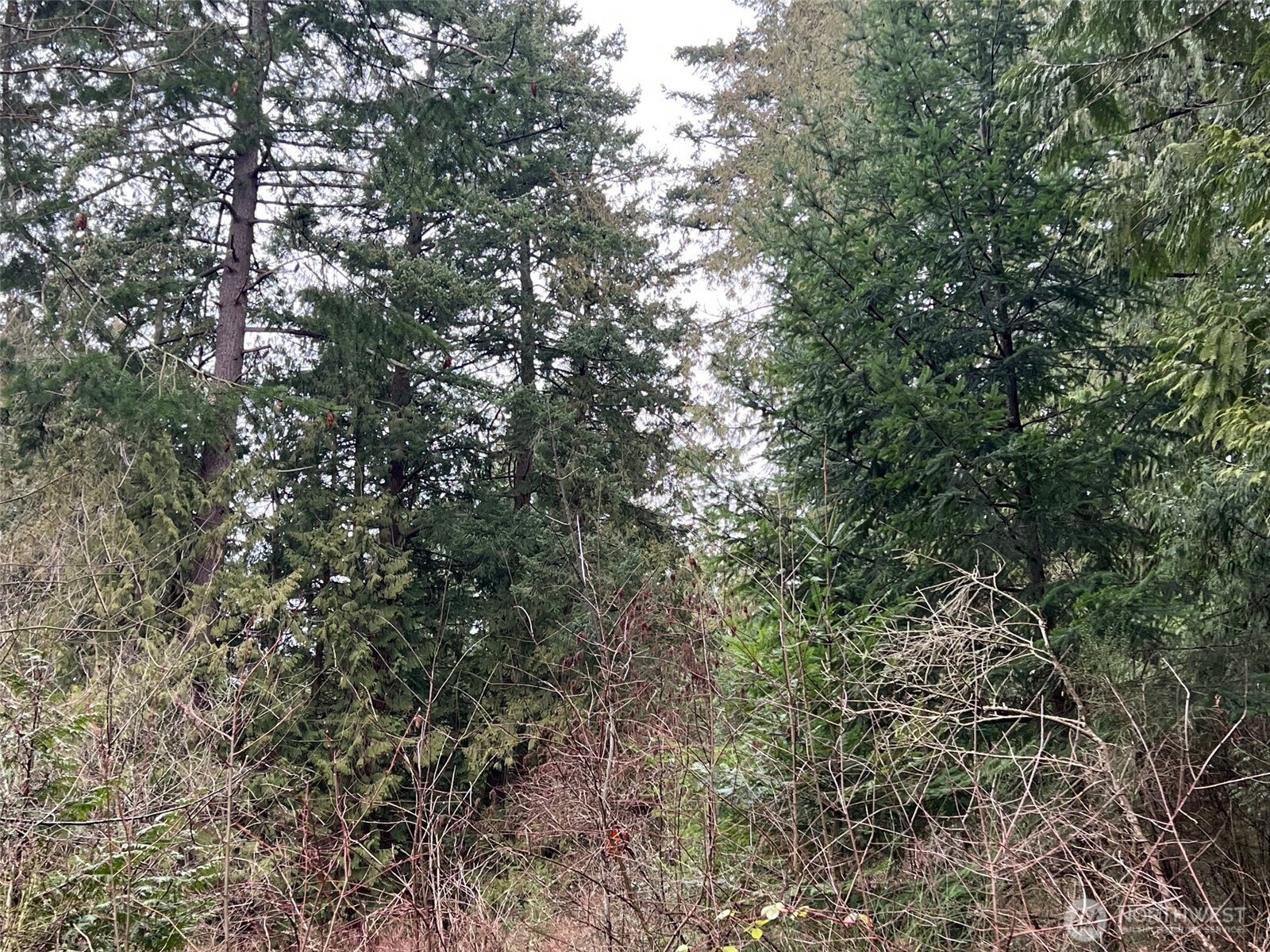 19 Greenwood Drive Property Photo 2