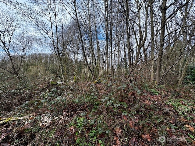 123 47th Avenue Property Photo 4