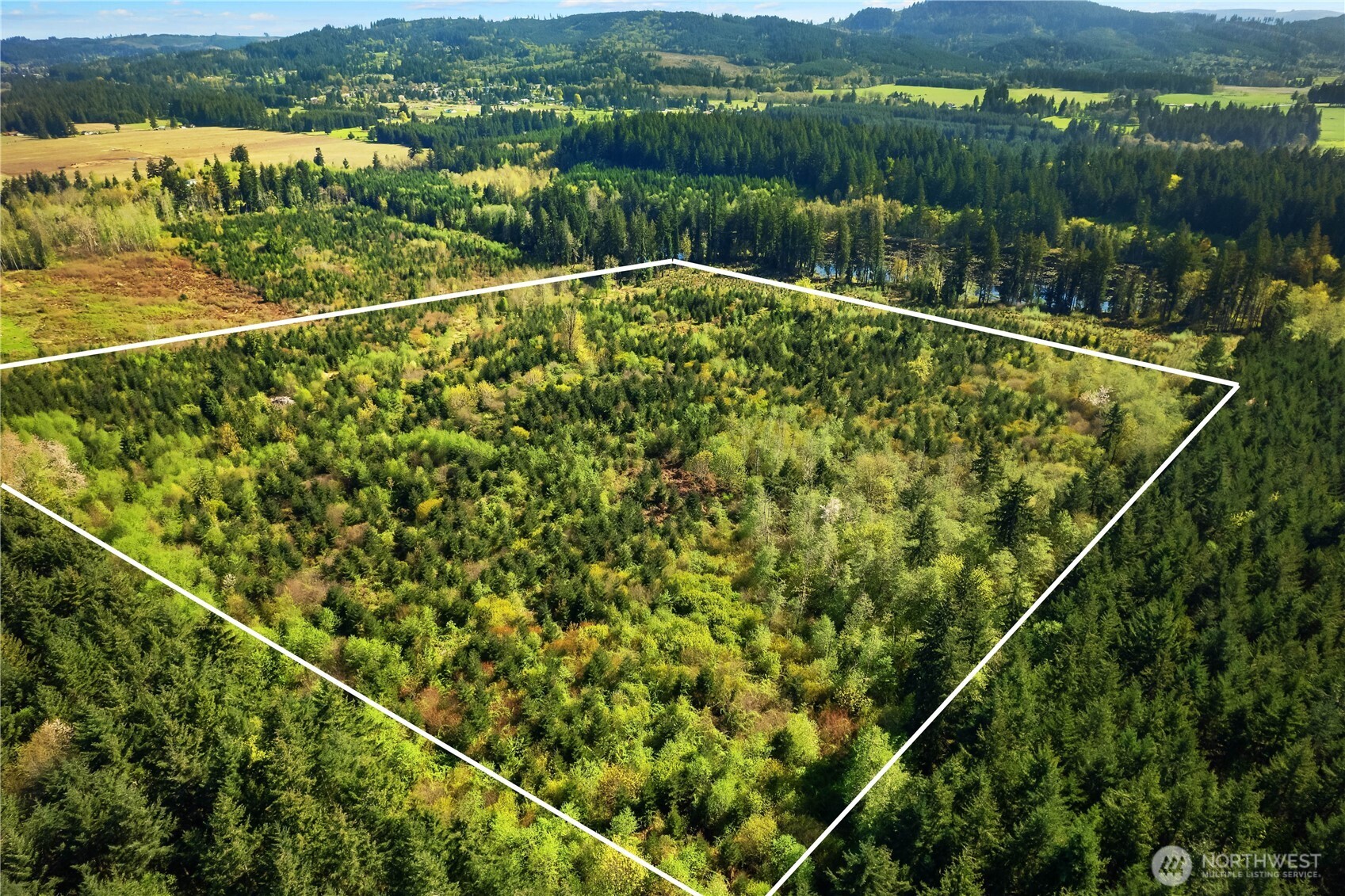 0 40 Acres 185th Avenue Property Photo