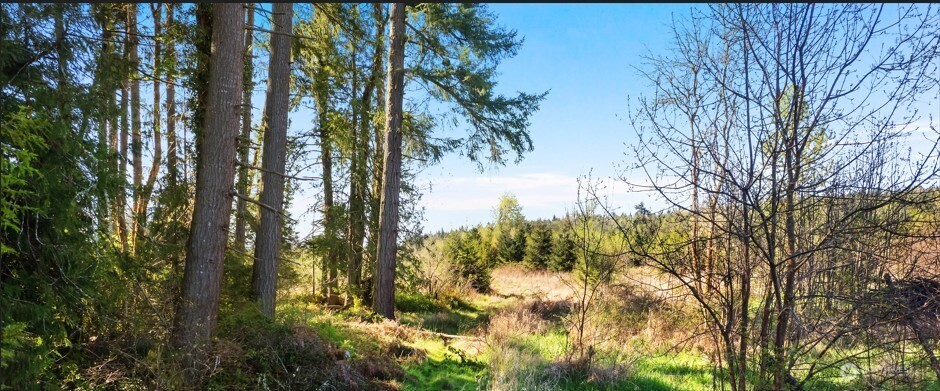 0 40 Acres 185th Avenue Property Photo 3