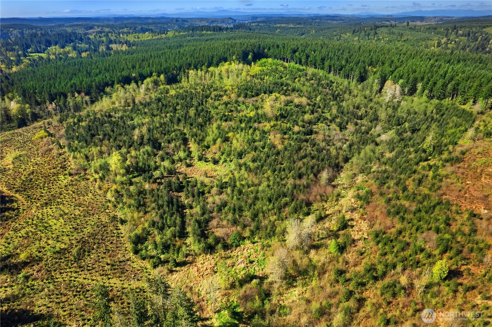 0 40 Acres 185th Avenue Property Photo 4