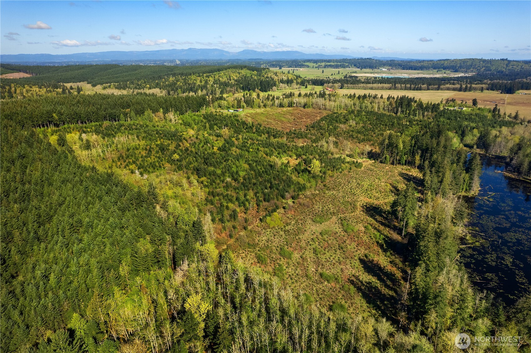 0 40 Acres 185th Avenue Property Photo 8