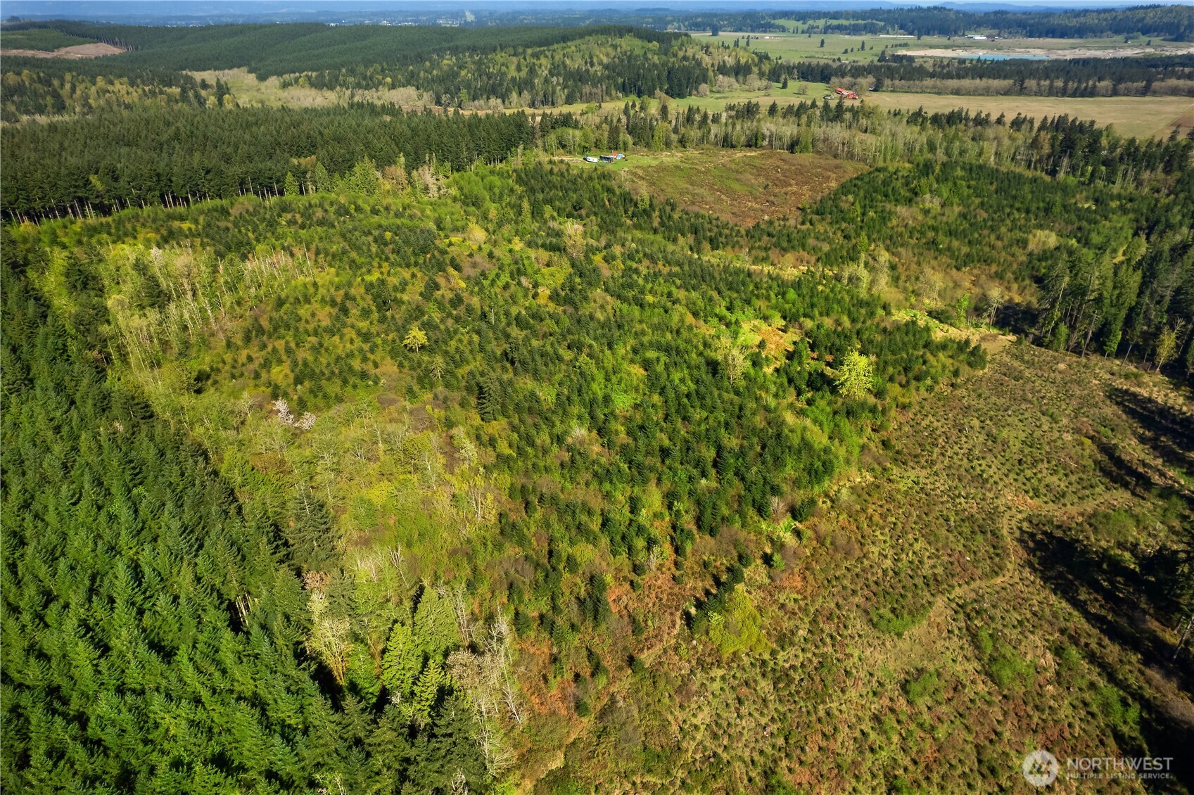 0 40 Acres 185th Avenue Property Photo 9