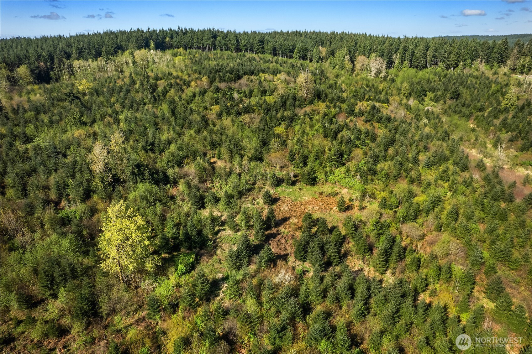0 40 Acres 185th Avenue Property Photo 10