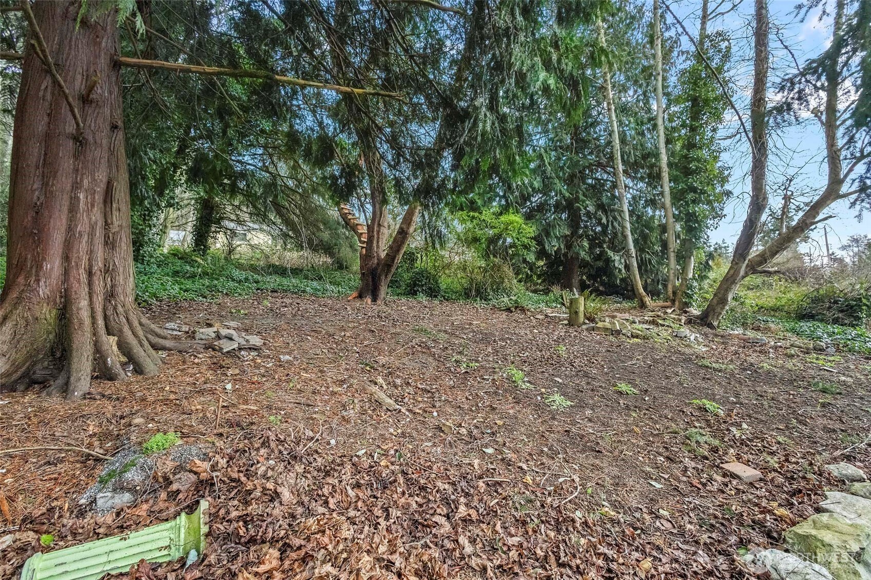 4398 Rhododendron Drive Property Photo 11