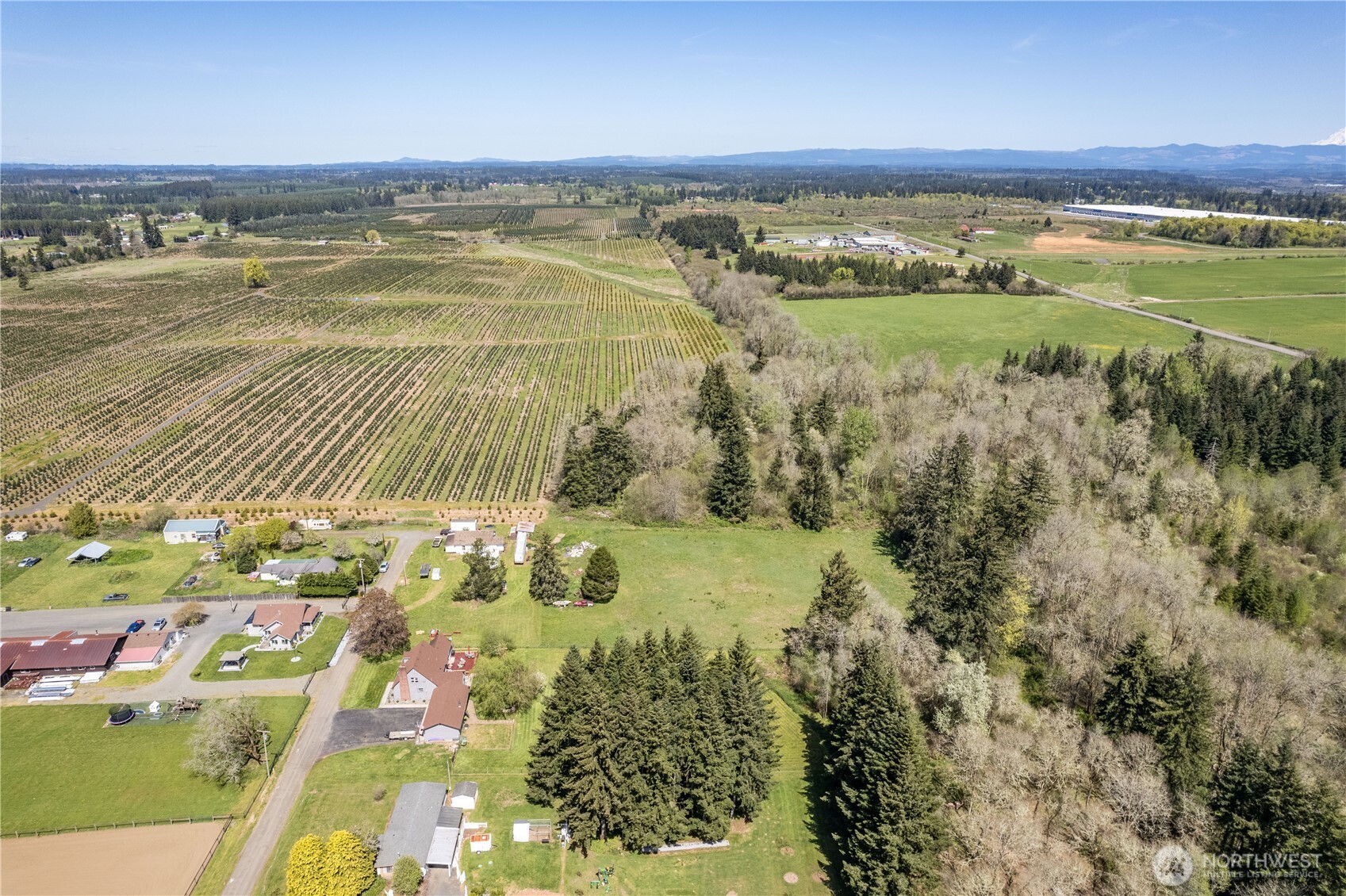 136 Morton Property Photo 31