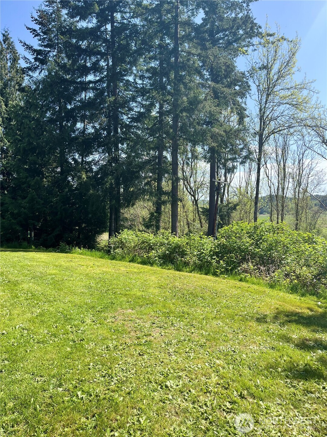 1585 Big Hanaford Road Property Photo 24