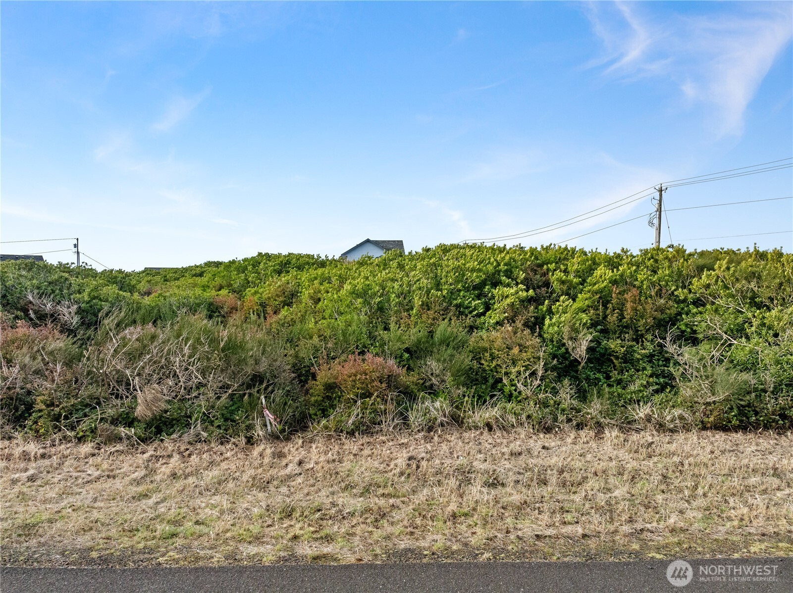 1036 Ocean Shores Boulevard Property Photo